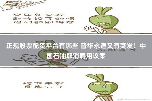 正规股票配资平台有哪些 普华永道又有突发！中国石油取消聘用议案