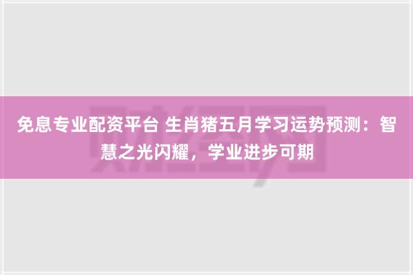 免息专业配资平台 生肖猪五月学习运势预测：智慧之光闪耀，学业进步可期