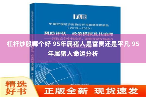 杠杆炒股哪个好 95年属猪人是富贵还是平凡 95年属猪人命运分析