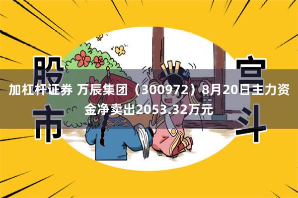 加杠杆证券 万辰集团（300972）8月20日主力资金净卖出2053.32万元