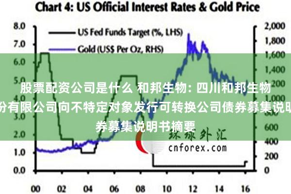股票配资公司是什么 和邦生物: 四川和邦生物科技股份有限公司向不特定对象发行可转换公司债券募集说明书摘要