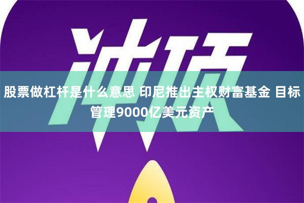 股票做杠杆是什么意思 印尼推出主权财富基金 目标管理9000亿美元资产